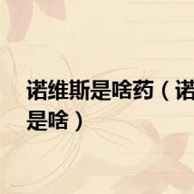 诺维斯是啥药（诺维斯是啥）