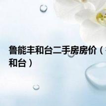 鲁能丰和台二手房房价（鲁能丰和台）