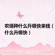 农场种什么升级快来钱（农场种什么升级快）