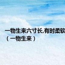 一物生来六寸长,有时柔软有时刚（一物生来）