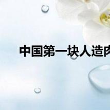 中国第一块人造肉