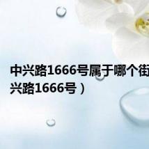 中兴路1666号属于哪个街道（中兴路1666号）
