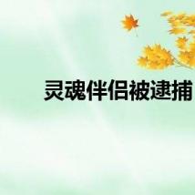 灵魂伴侣被逮捕