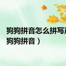 狗狗拼音怎么拼写声调（狗狗拼音）