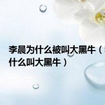李晨为什么被叫大黑牛（李晨为什么叫大黑牛）