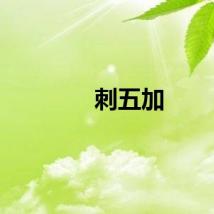 刺五加
