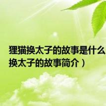 狸猫换太子的故事是什么（狸猫换太子的故事简介）