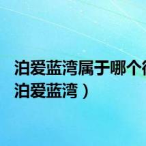 泊爱蓝湾属于哪个街道（泊爱蓝湾）