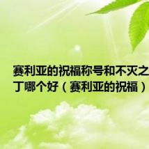 赛利亚的祝福称号和不灭之王波罗丁哪个好（赛利亚的祝福）