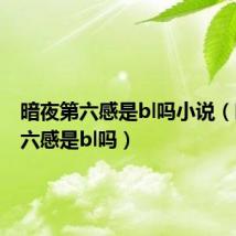 暗夜第六感是bl吗小说（暗夜第六感是bl吗）