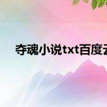 夺魂小说txt百度云