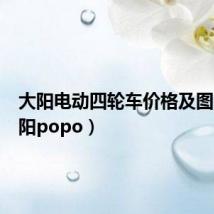 大阳电动四轮车价格及图片(大阳popo)