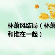 林萧风结局（林萧最后和谁在一起）