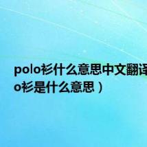 polo衫什么意思中文翻译（polo衫是什么意思）