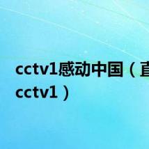 cctv1感动中国(直播吧cctv1)