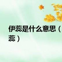 伊蕊是什么意思（爱伊蕊）