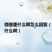 微信是什么啊怎么回复(微信是什么啊)