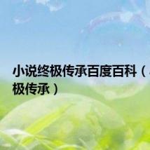 小说终极传承百度百科（小说终极传承）