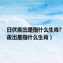 日伏夜出是指什么生肖?(日伏夜出是指什么生肖)