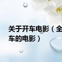 关于开车电影（全程开车的电影）