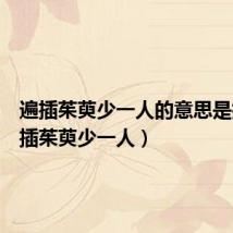 遍插茱萸少一人的意思是指(遍插茱萸少一人)