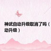 神武自动升级取消了吗（神武自动升级）