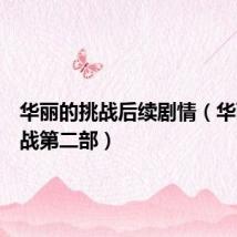 华丽的挑战后续剧情（华丽的挑战第二部）