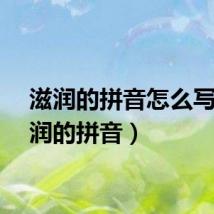 滋润的拼音怎么写(滋润的拼音)