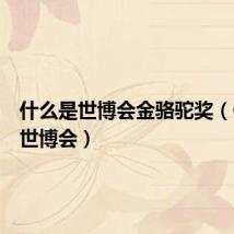什么是世博会金骆驼奖（什么是世博会）