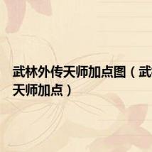 武林外传天师加点图（武林外传天师加点）