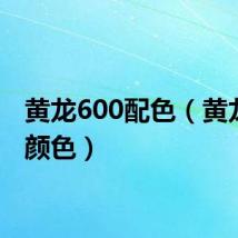 黄龙600配色(黄龙600颜色)