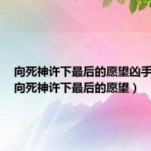 向死神许下最后的愿望凶手是谁（向死神许下最后的愿望）