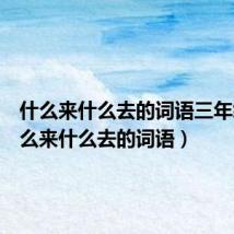 什么来什么去的词语三年级（什么来什么去的词语）