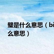 璧是什么意思（bi是什么意思）