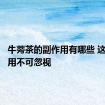 牛蒡茶的副作用有哪些 这些副作用不可忽视
