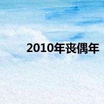 2010年丧偶年