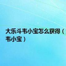 大乐斗韦小宝怎么获得（大乐斗韦小宝）
