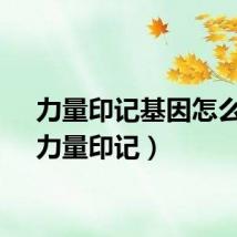 力量印记基因怎么配（力量印记）