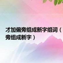 才加偏旁组成新字组词（才加偏旁组成新字）