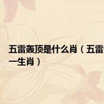 五雷轰顶是什么肖（五雷轰顶打一生肖）