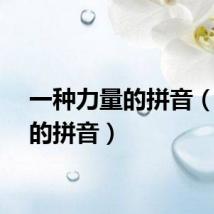 一种力量的拼音（力量的拼音）