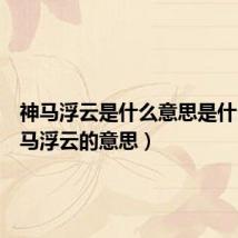神马浮云是什么意思是什么（神马浮云的意思）