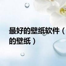 最好的壁纸软件（最好的壁纸）