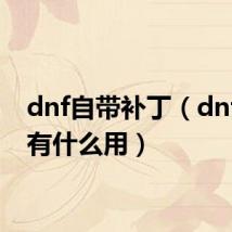 dnf自带补丁（dnf补丁有什么用）