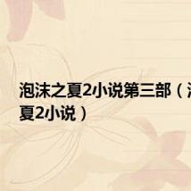 泡沫之夏2小说第三部（泡沫之夏2小说）