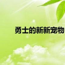 勇士的新新宠物