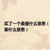买了一个表是什么意思（买了个表什么意思）