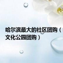 哈尔滨最大的社区团购（哈尔滨文化公园团购）