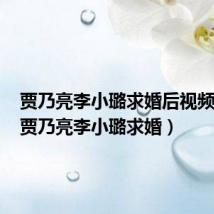 贾乃亮李小璐求婚后视频采访（贾乃亮李小璐求婚）