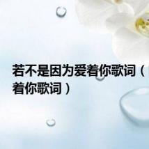 若不是因为爱着你歌词(因为爱着你歌词)